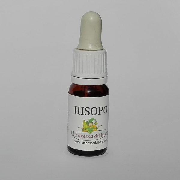 Fotografía de Aceite esencial de hisopo 10 ml