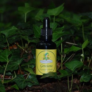 Genciana extracte 50 ml