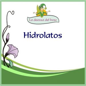 Hidrolatos