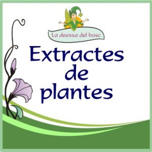 Extractes de plantes